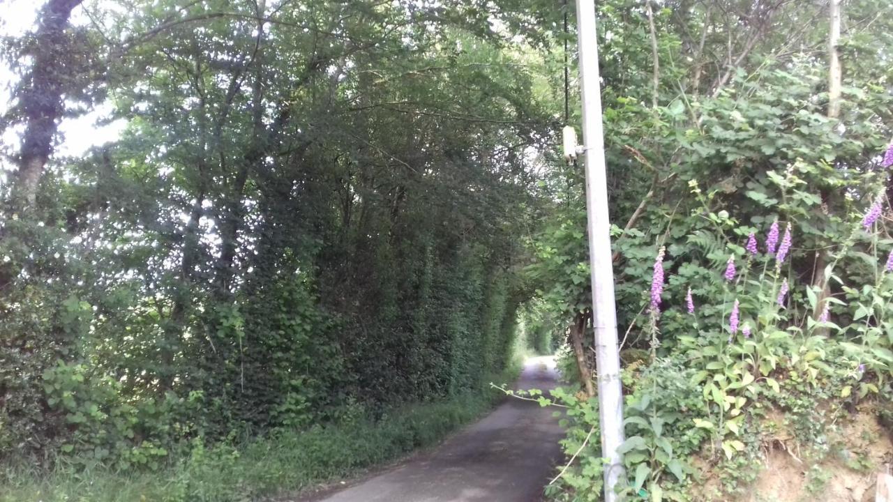 לינה וארוחת בוקר Saint-Sylvestre-de-Cormeilles La Martre מראה חיצוני תמונה